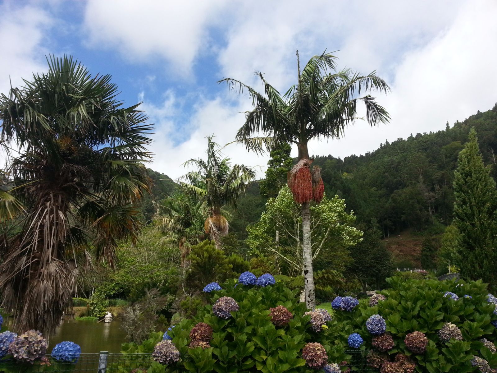 20160903_120602.jpg
