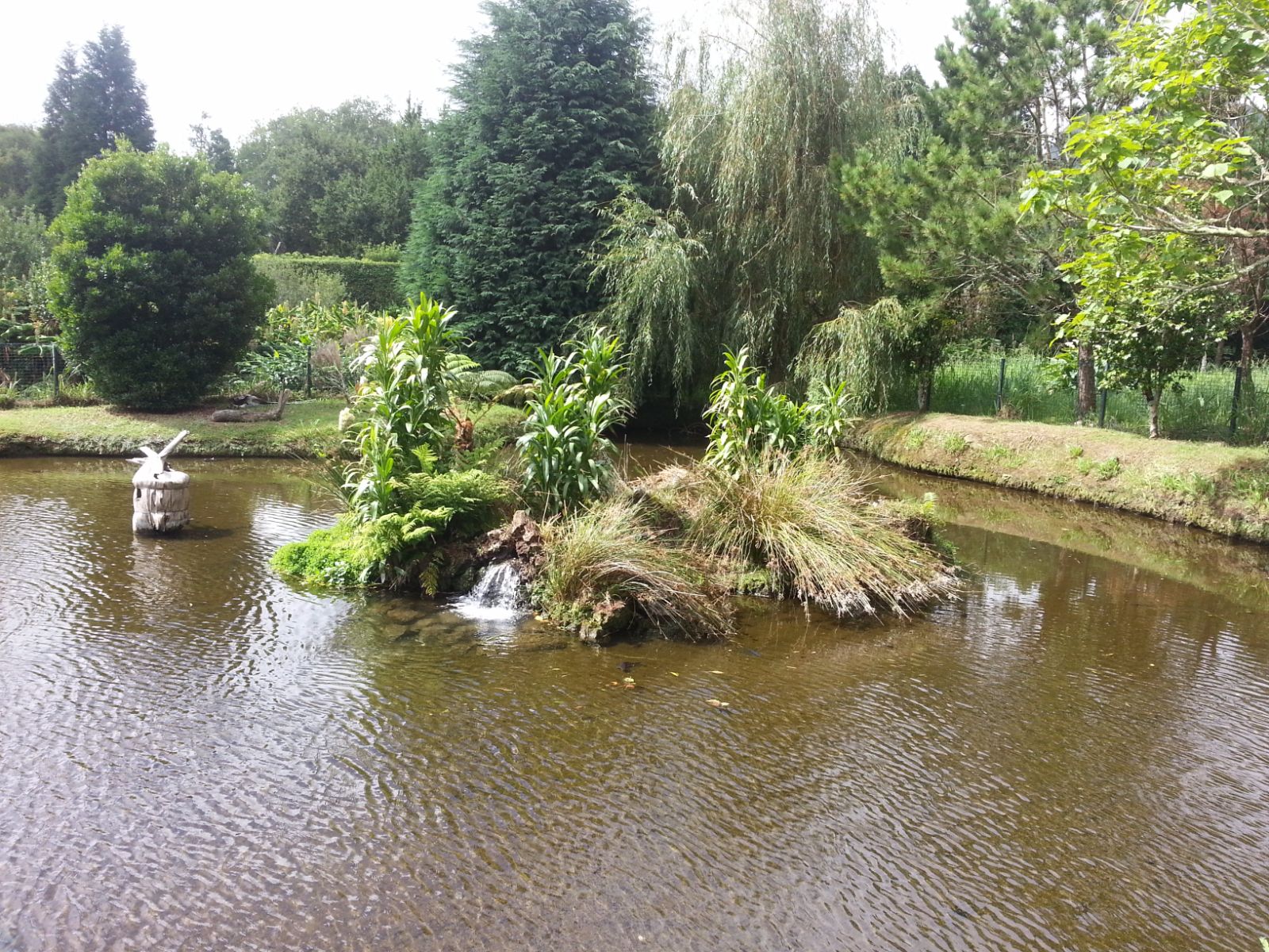 20160903_120756.jpg