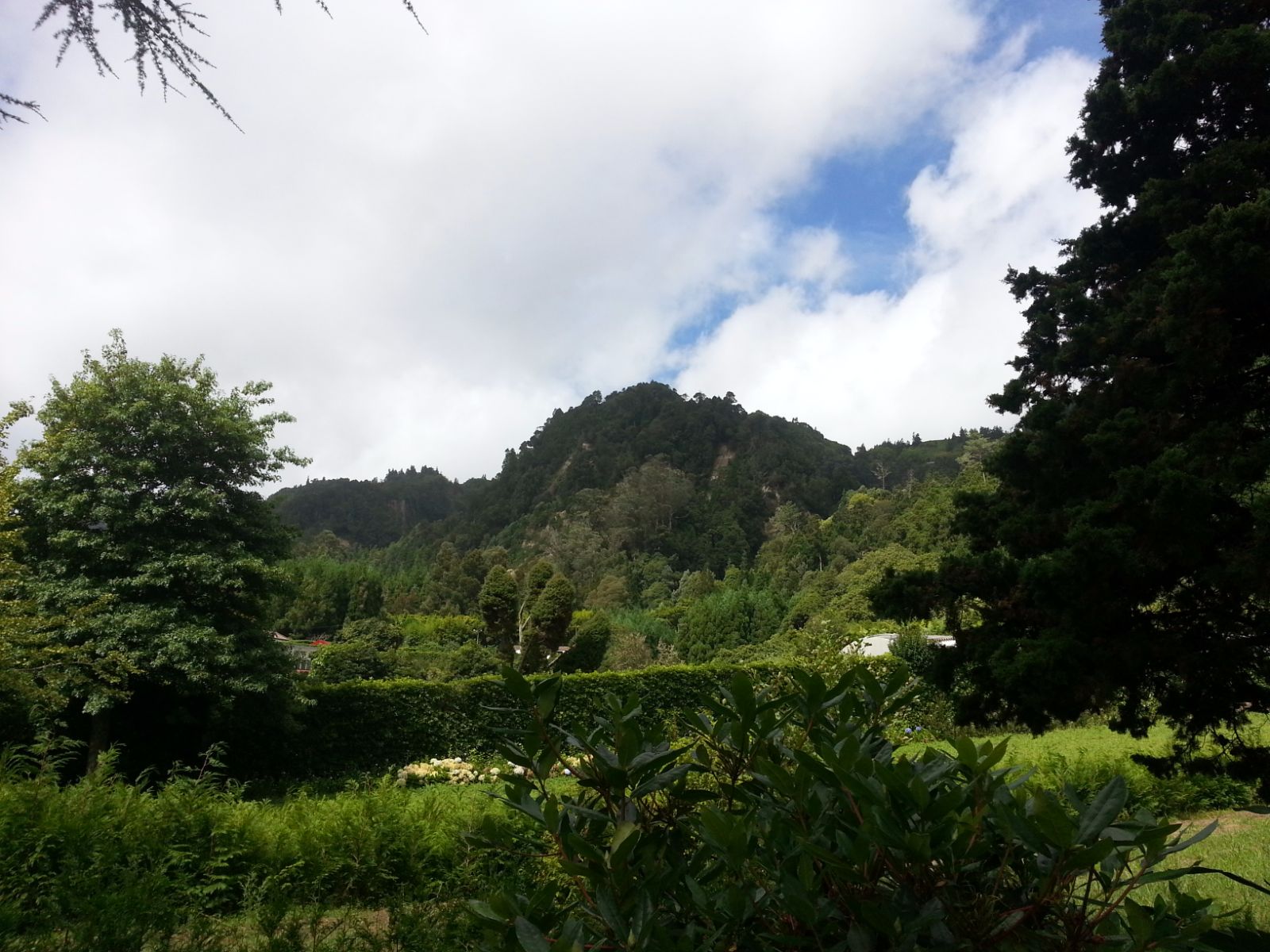 20160903_120845.jpg