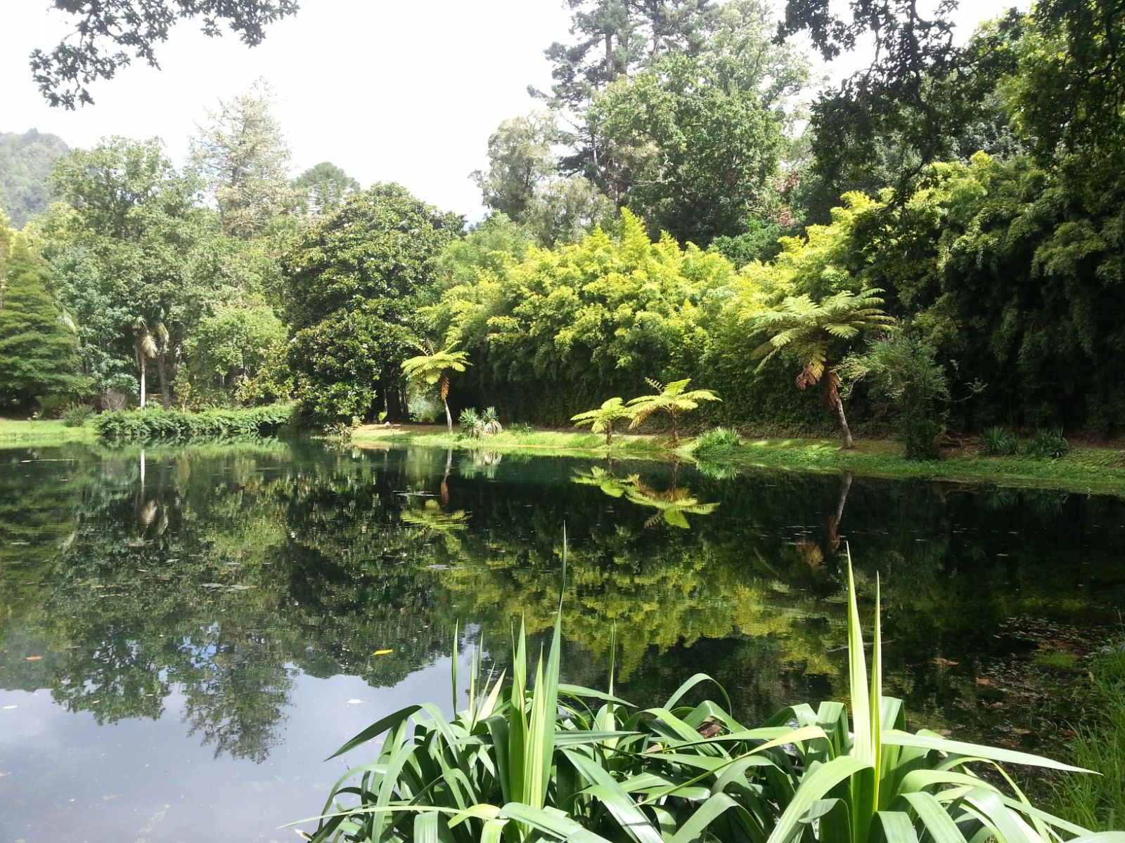 20160903_123021.jpg