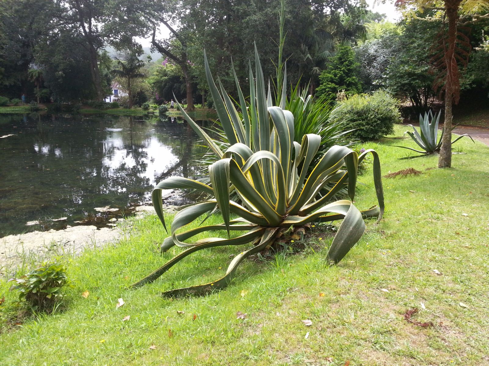 20160903_124706.jpg