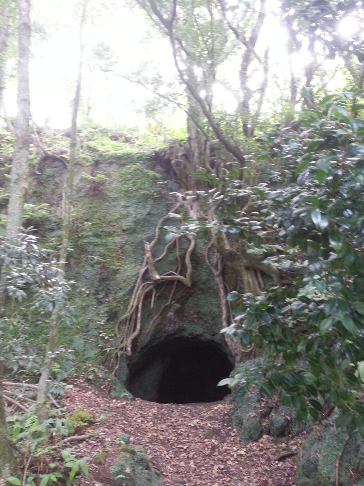 20160909_115112.jpg
