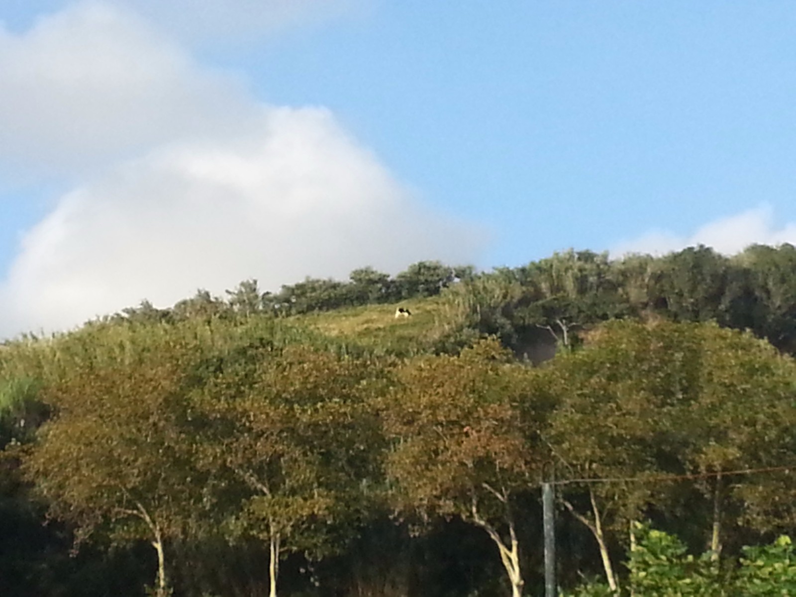 20160925_184143.jpg