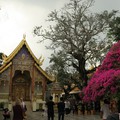 Chiang Mai 2. - Doi Suthep, Grand Canyon