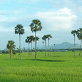 Kambodzsa - tengerpart