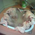 Csirke jacuzzi