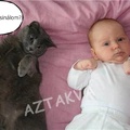 Kung fu edzés
