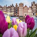 Covid vs. Amszterdam: Ezt tapasztaltuk a holland fővárosban