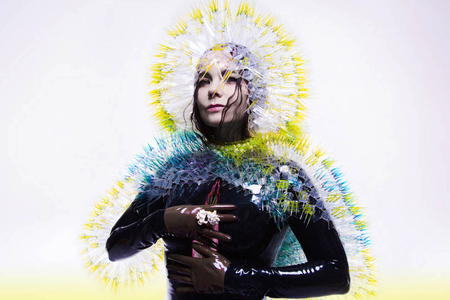 Björk – Vulnicura (2015)
