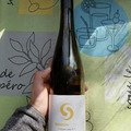 Volt 1x1 - Sanzon Tokaj Fleur 2018 avagy A borok számkivetettjei I