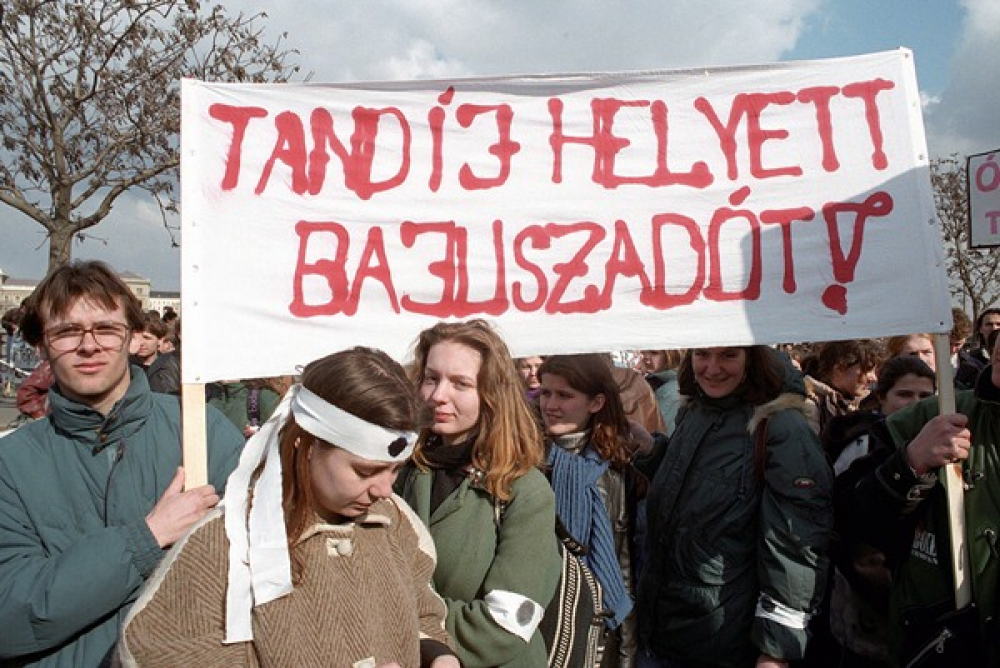 bajuszadot.png