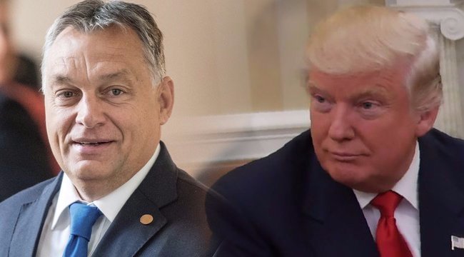 trump_orban.jpg