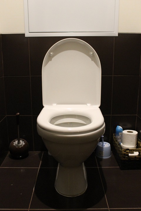 toilet-663707_960_720.jpg