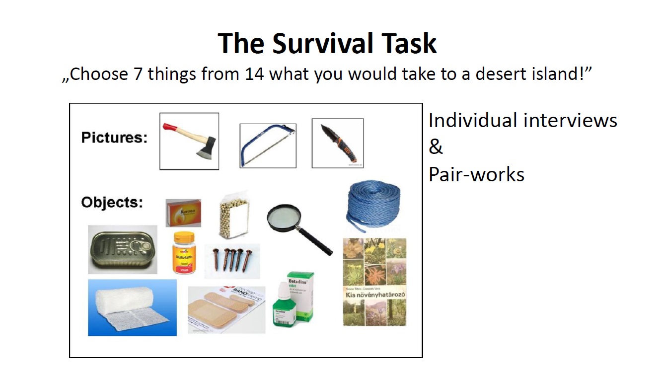 survival_task.jpg