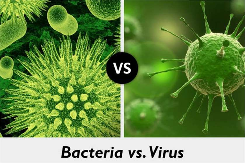 bvacteria-vs-virus-nab.jpg