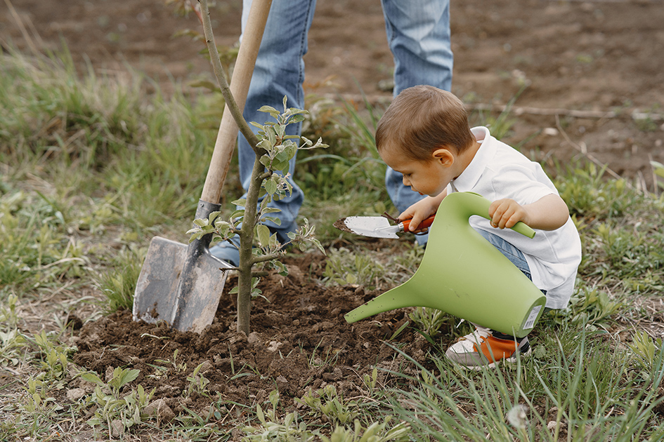 family-with-with-little-sons-are-planting-tree-yard.jpg