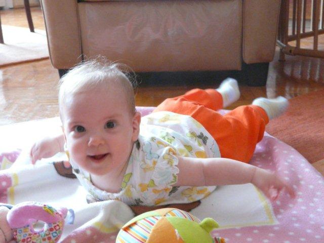 P1090539.jpg