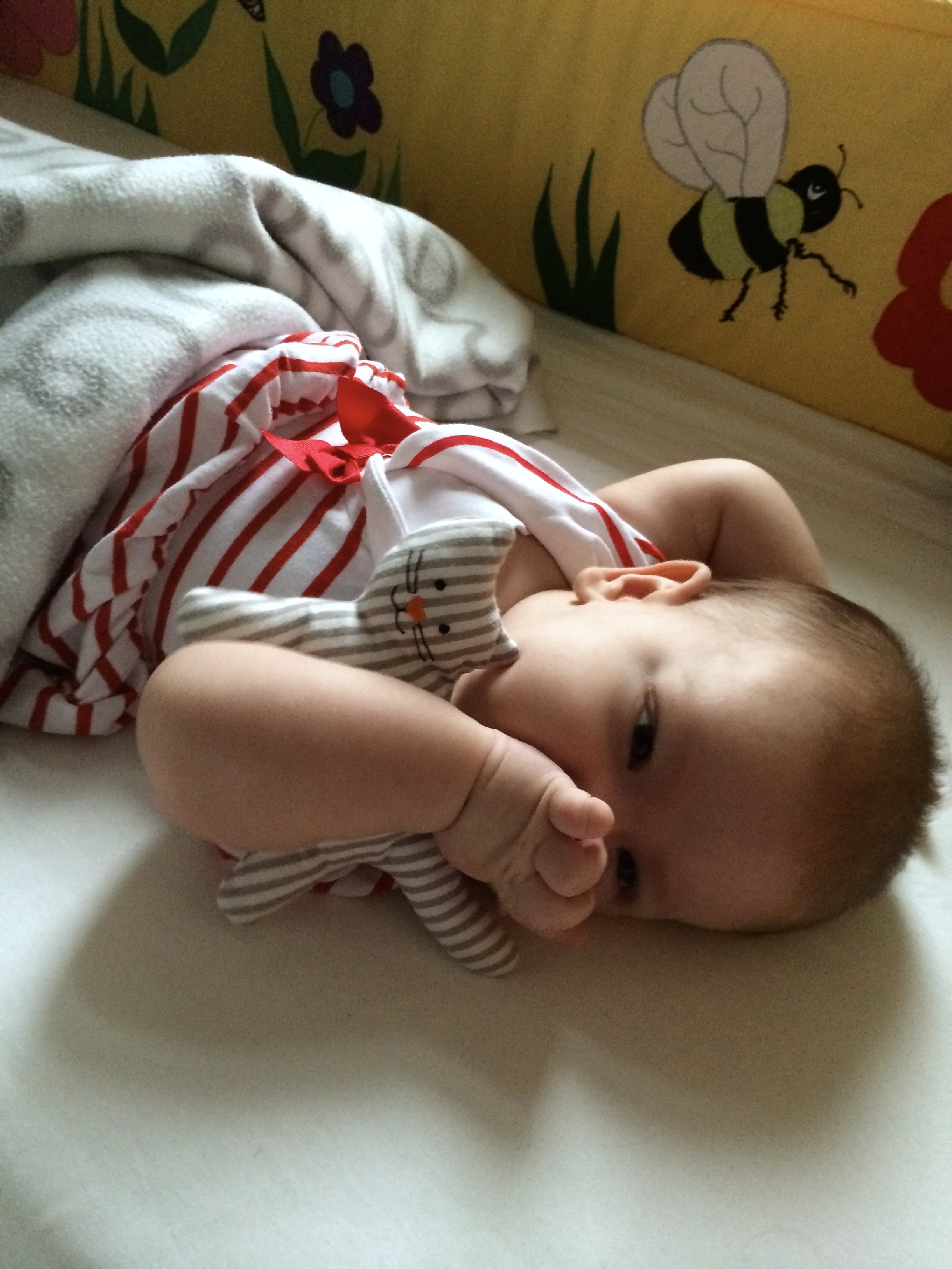 2014-08-31 07.51.22.jpg
