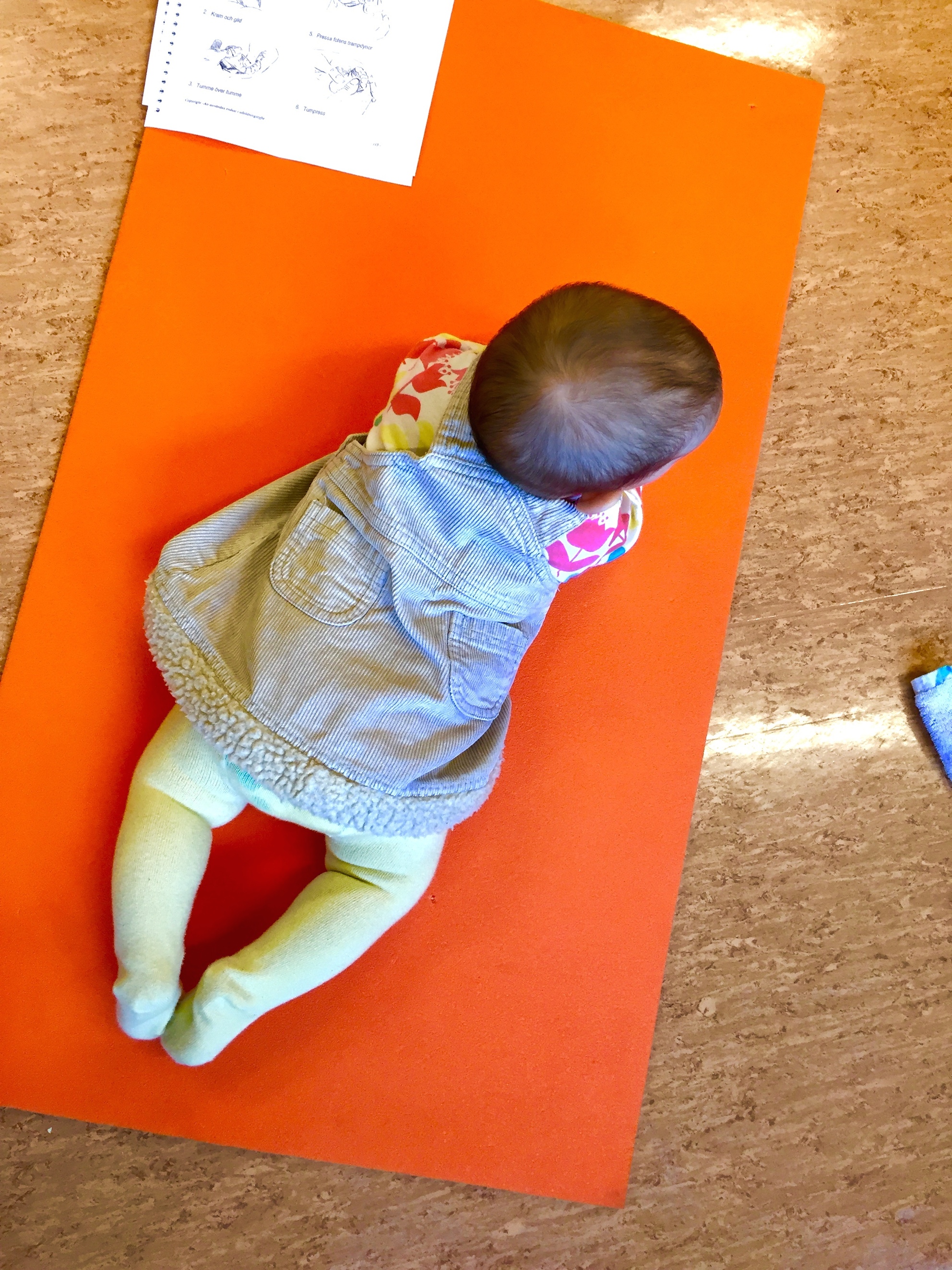 20140930_1 copy.jpg