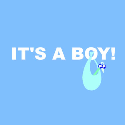 2012 IT'S A BOY.jpg