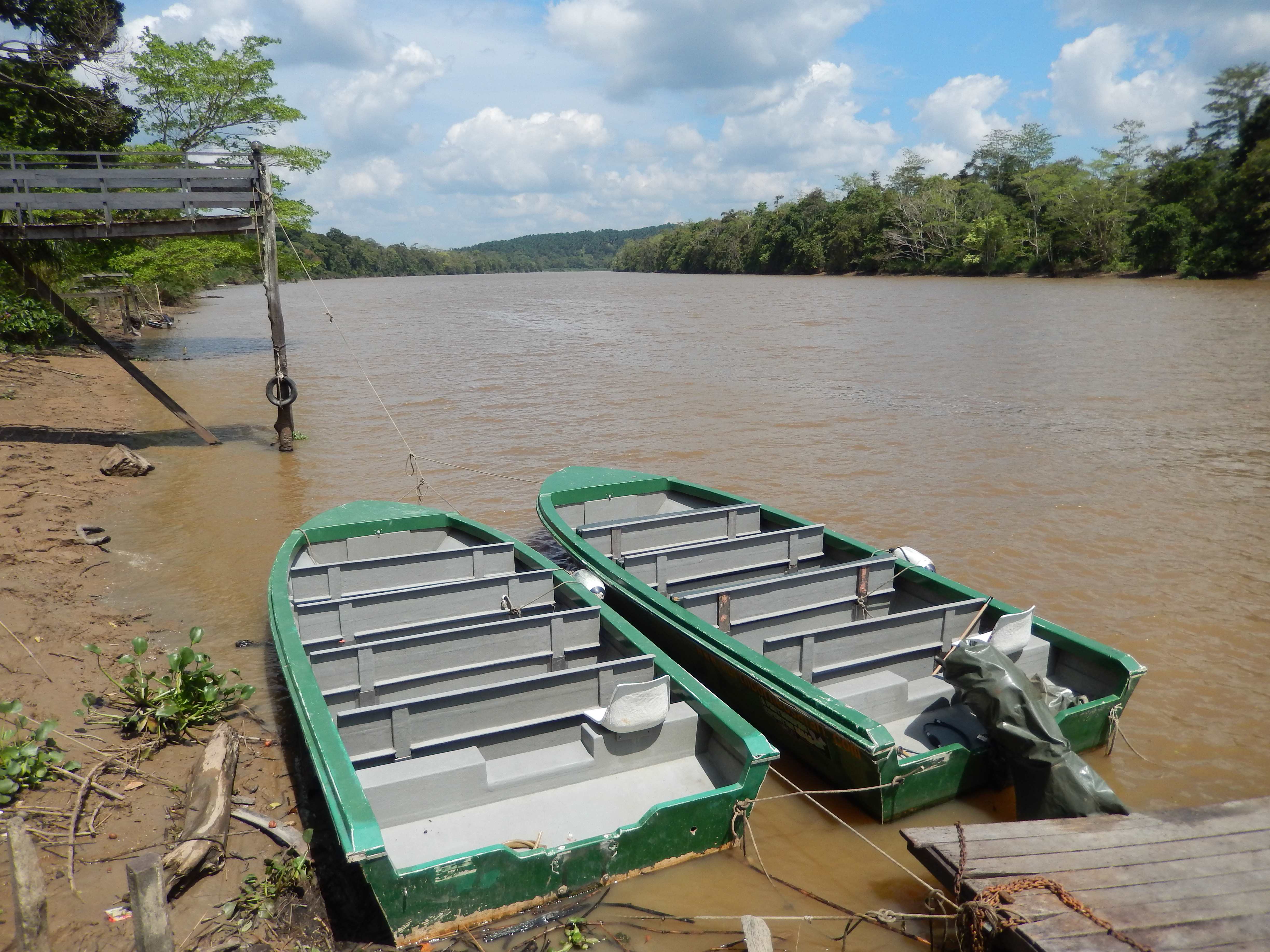 river_kinabatangan.jpg