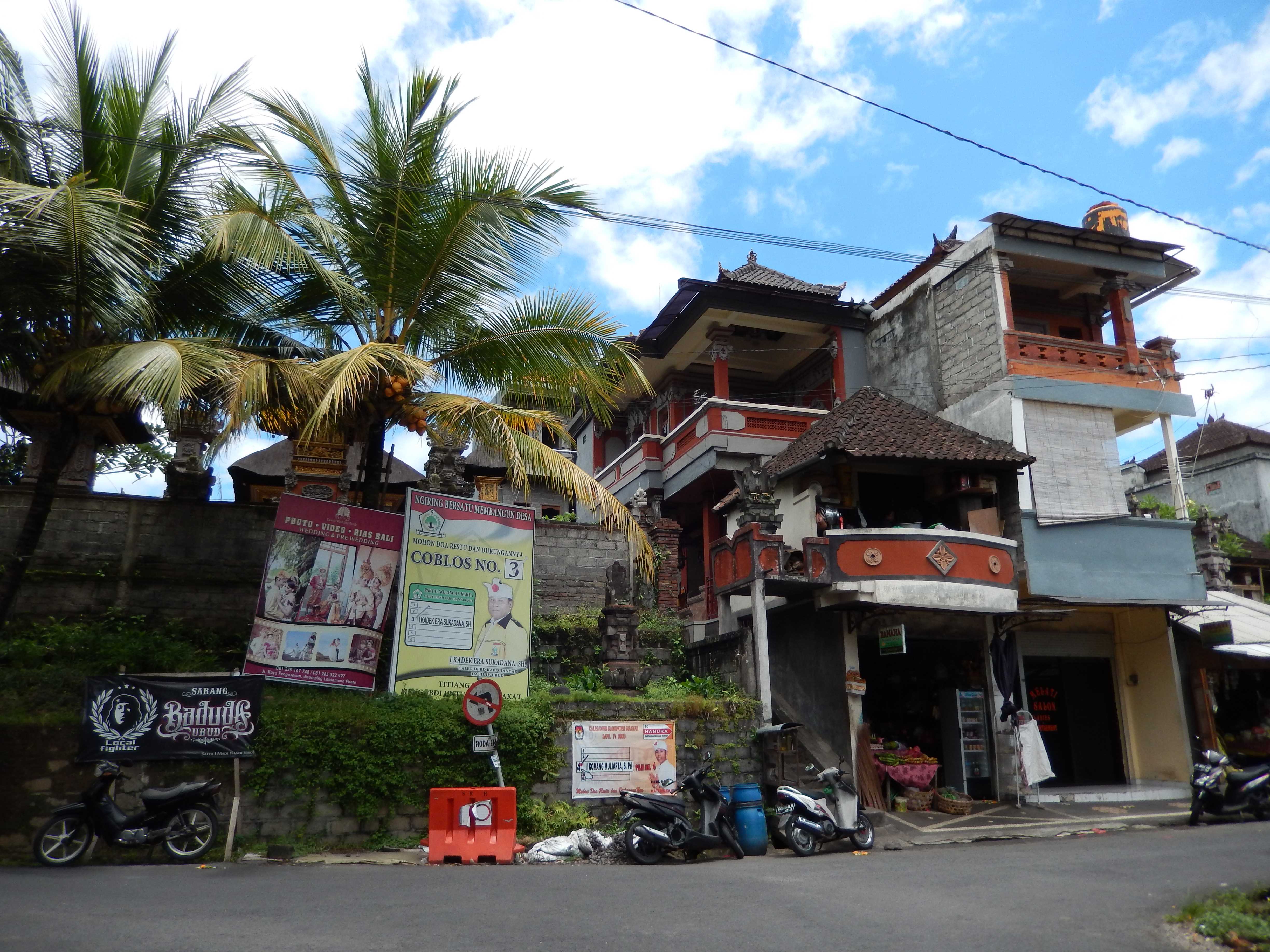 ubud.jpg