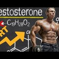 Így Fokozd Tesztoszteronszinted Természetes Módon! | IWI Fitness Science - 7. rész