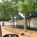 Freetown utca