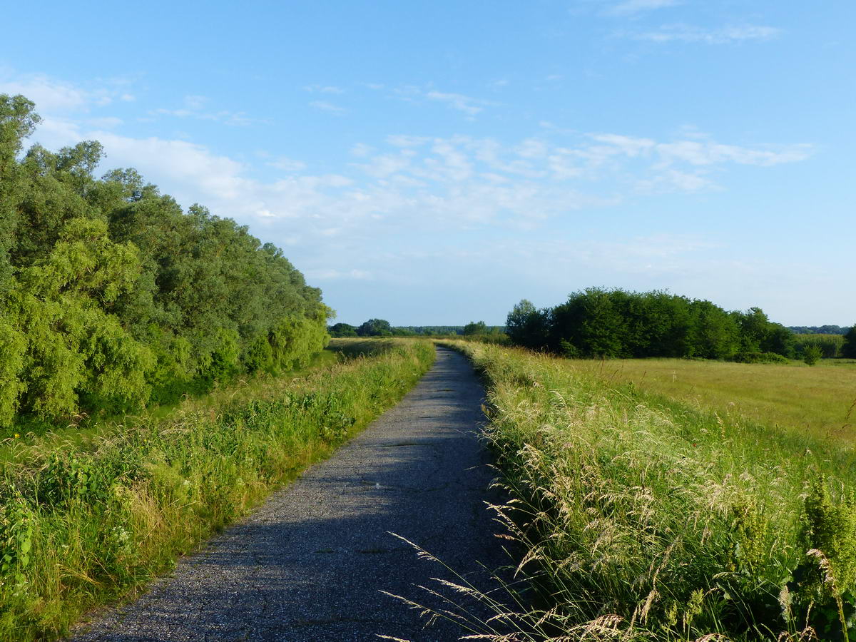 Kora reggel a Tisza-gáton