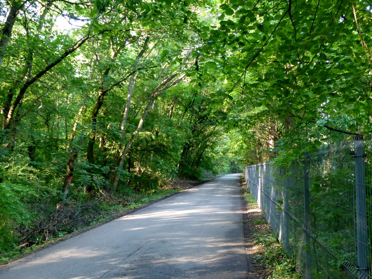 Erdei úton a Kamaraerdei Ifjúsági Park hátsó kerítése mellett