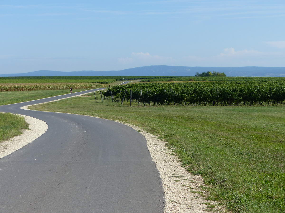 Hullámvasút a dombtetők között