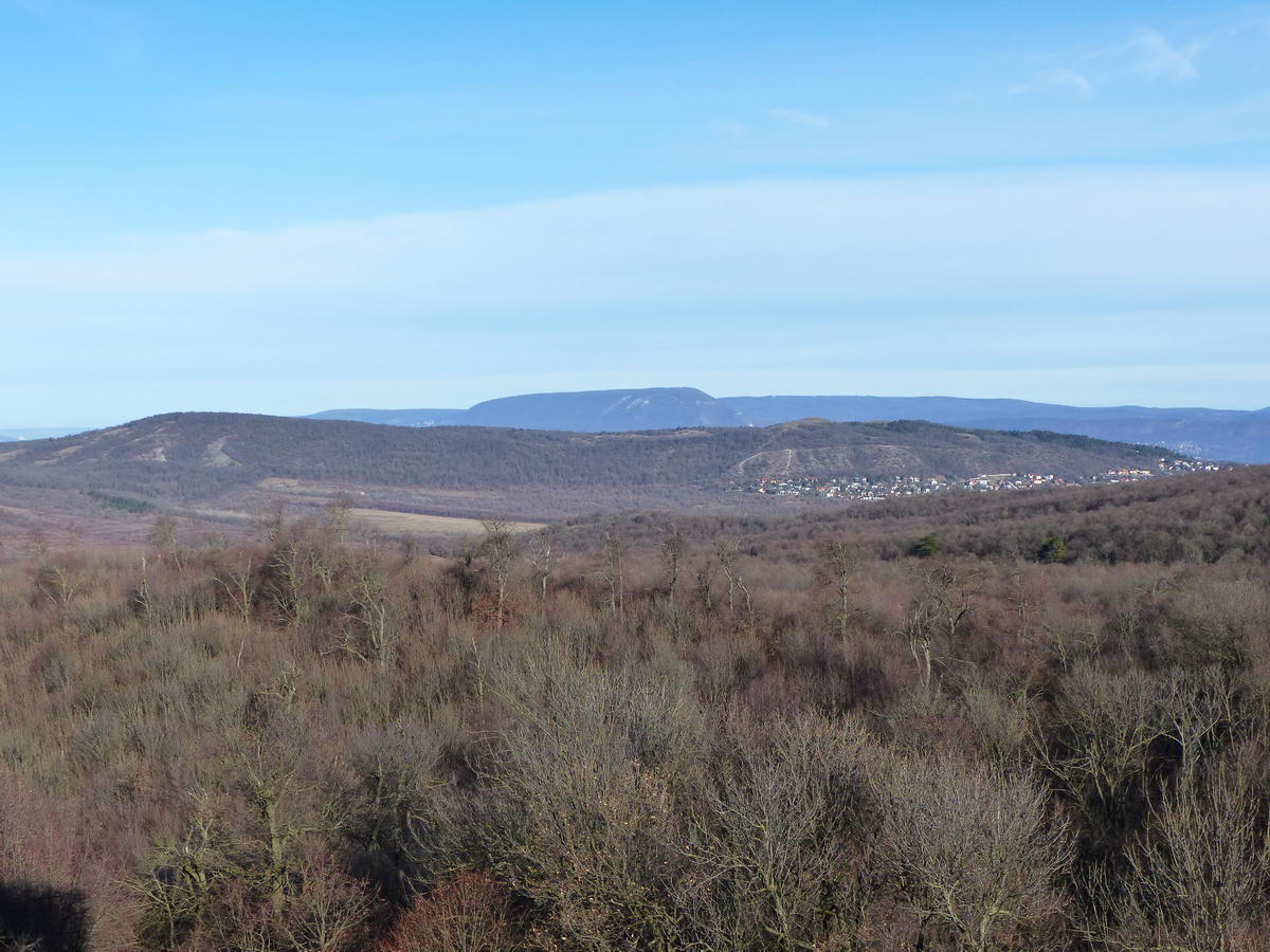 Kilátás Nagykovácsira és a mögötte álló Kutya-hegy - Nagy-szénás párosra. Arra indulok majd tovább.