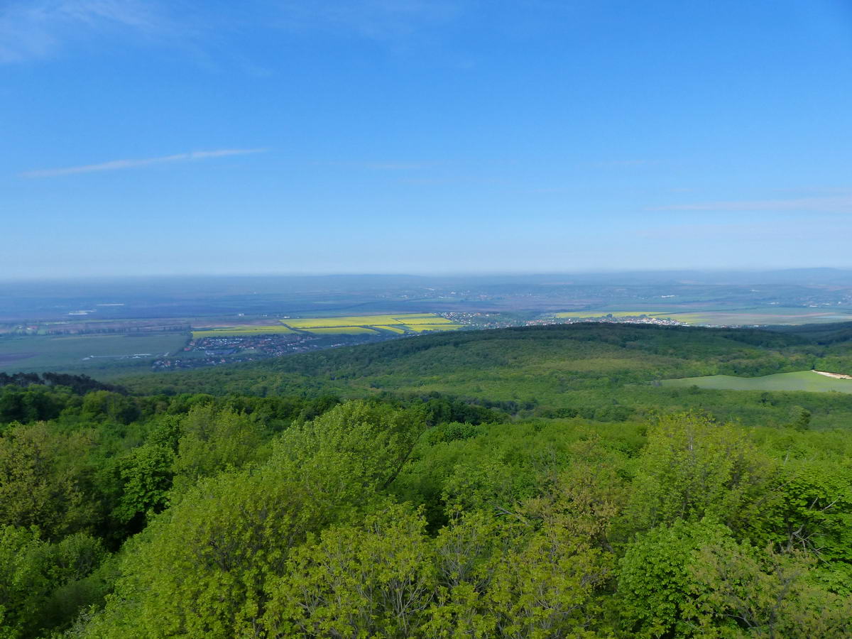 Kilátás a Zsámbéki-medencére