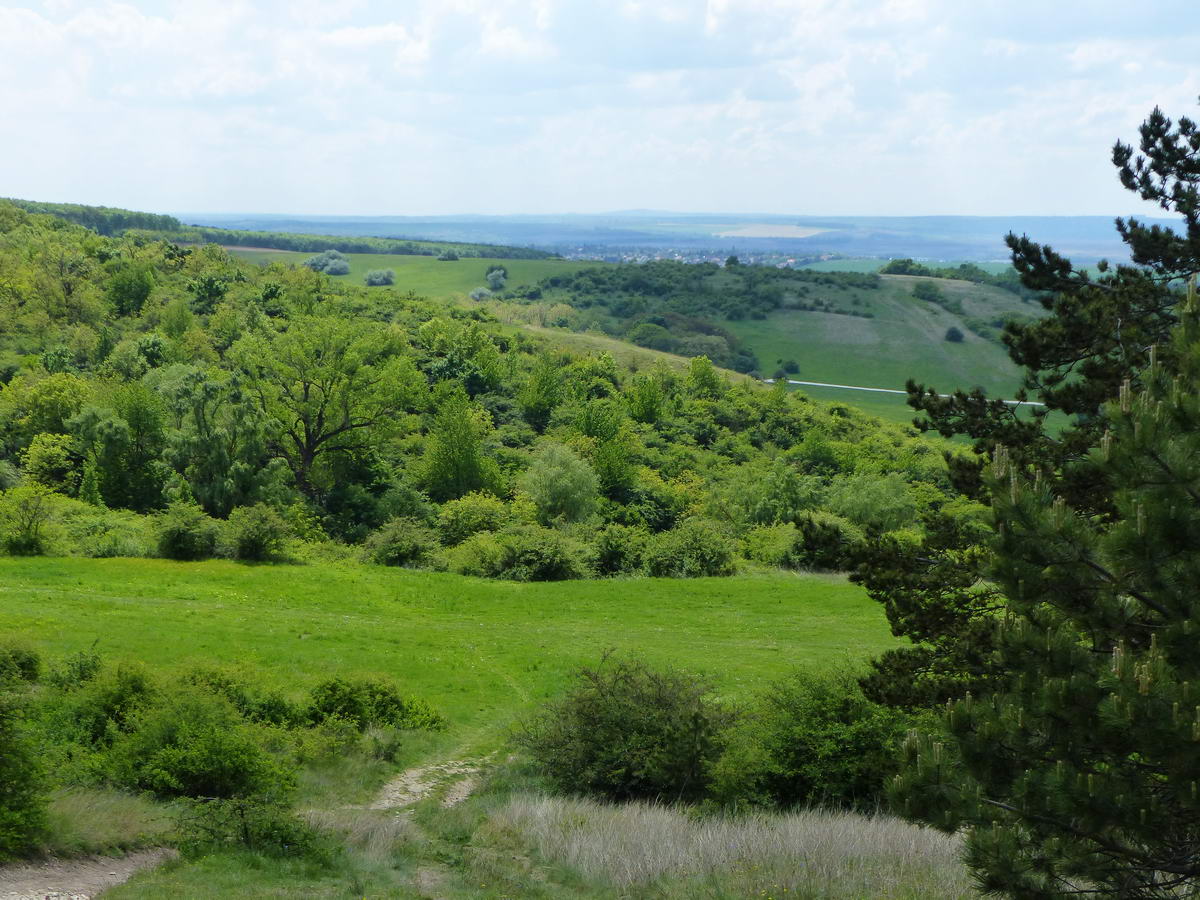 Kilátás nyugat felé a dombtetőről