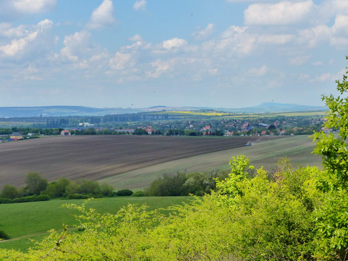 Visszatekintés Pátyra