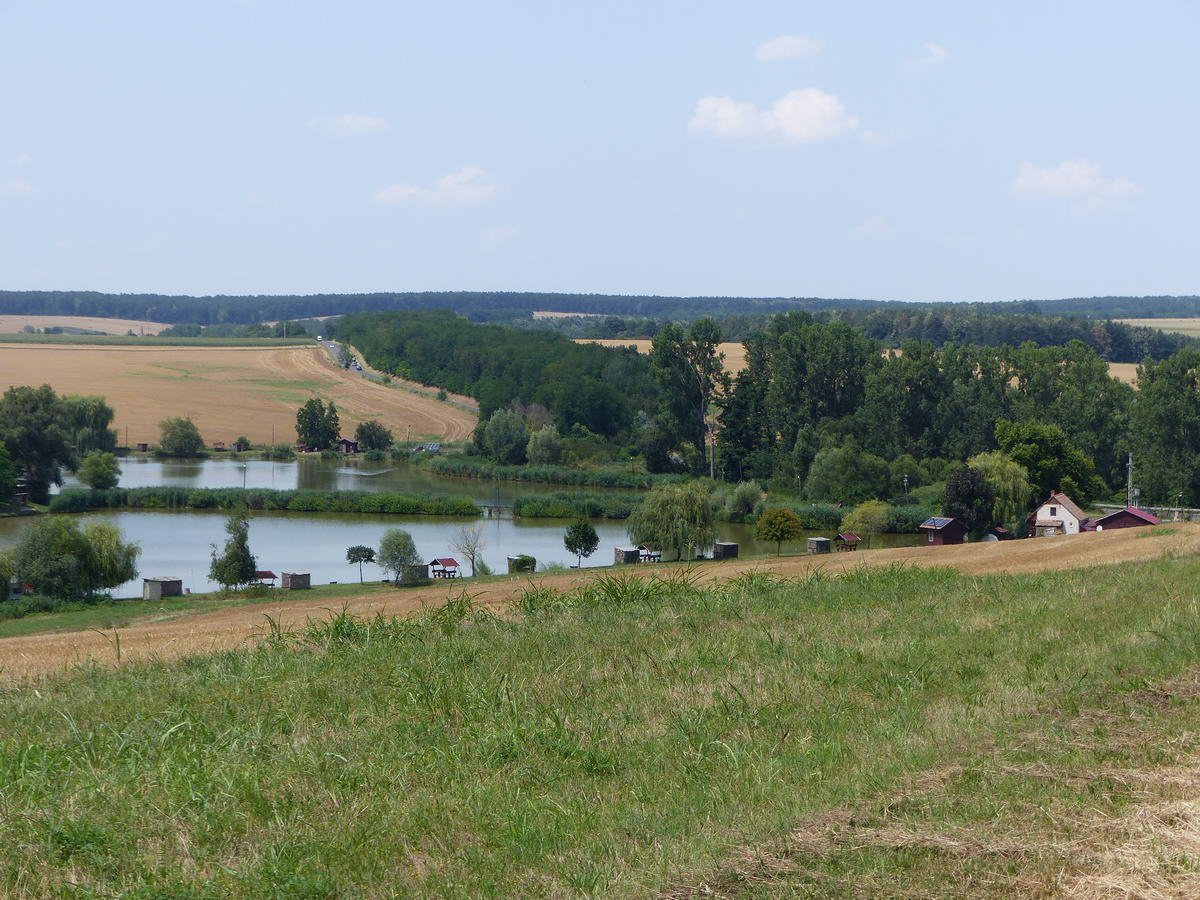 Halastó Tófű határában