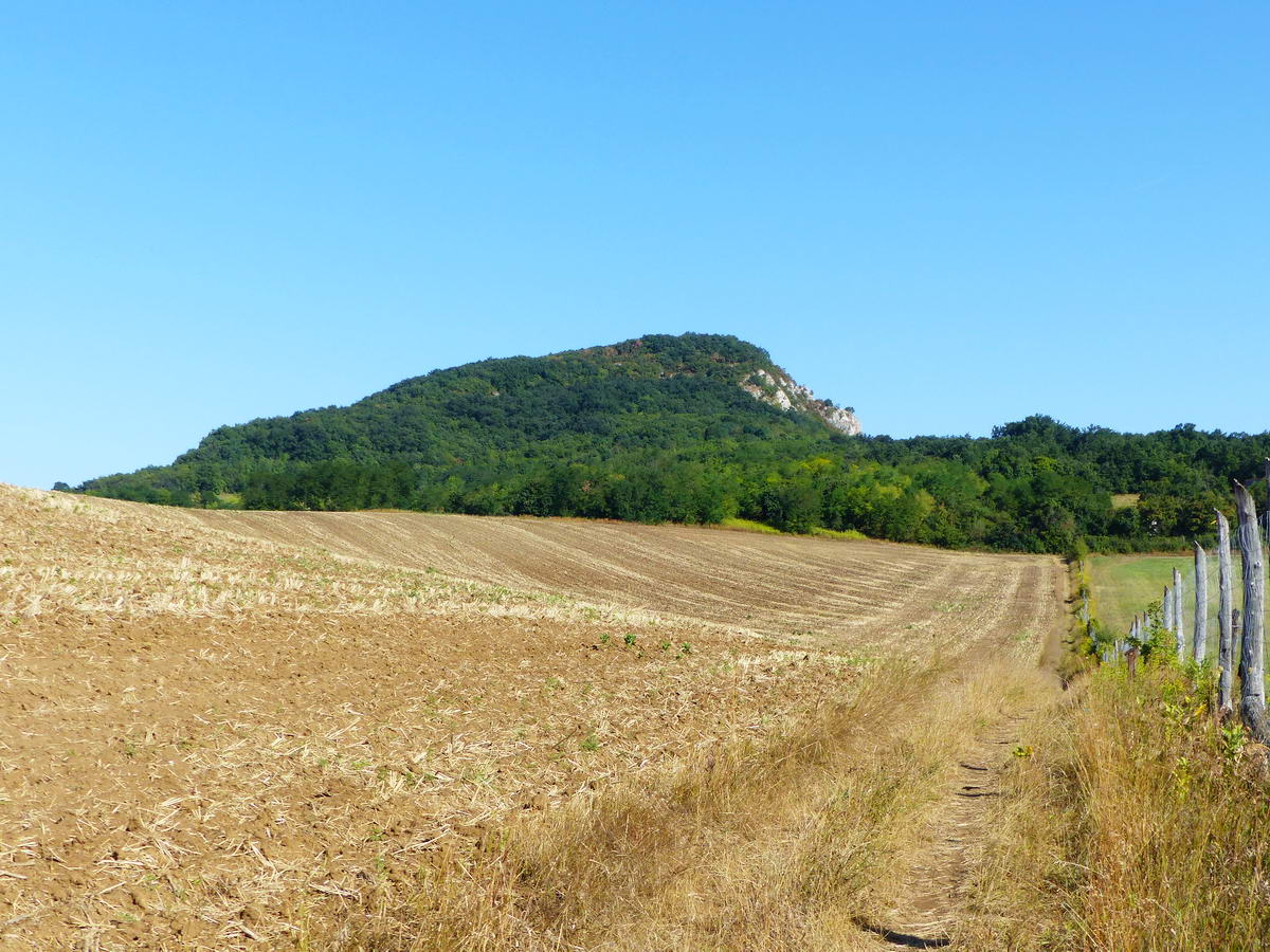 Mezőkön keresztül a Bajóti Öreg-kő felé