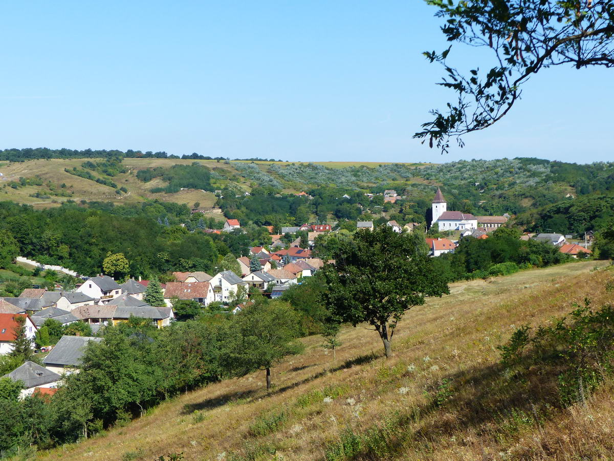 Végigvándoroltam a falu felett a hegyoldalban