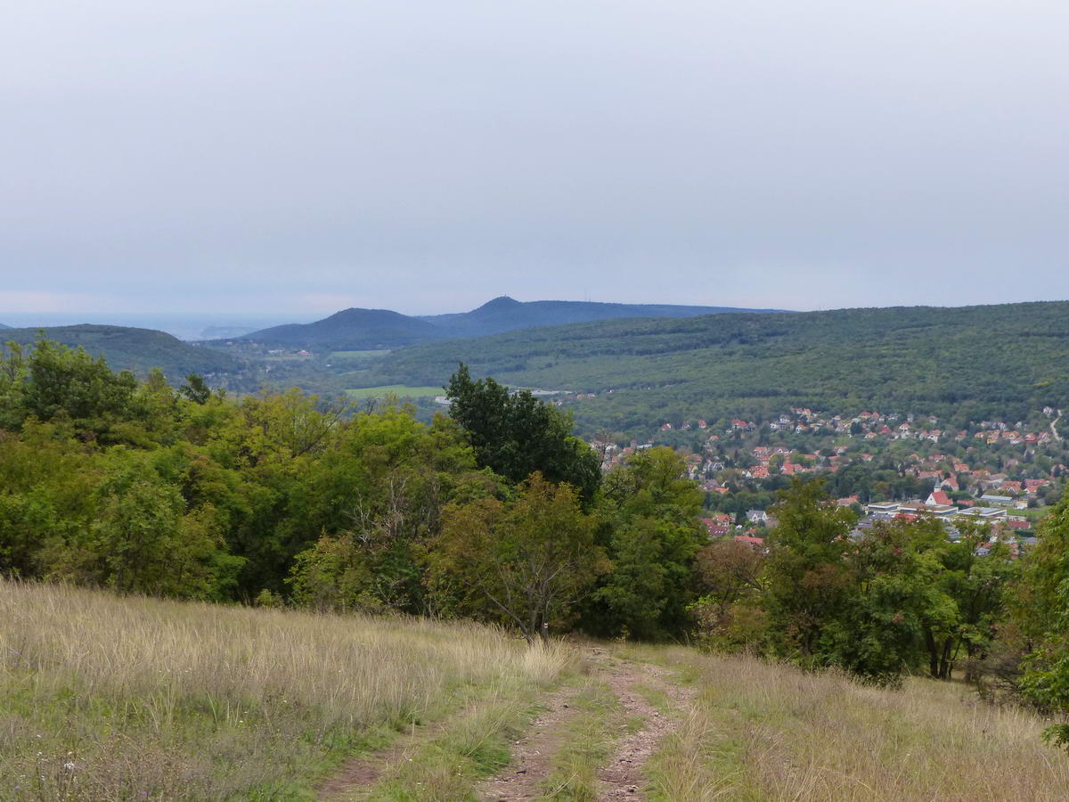 A csúcs alatti kaszálókon már kinyílt mögöttem a panoráma