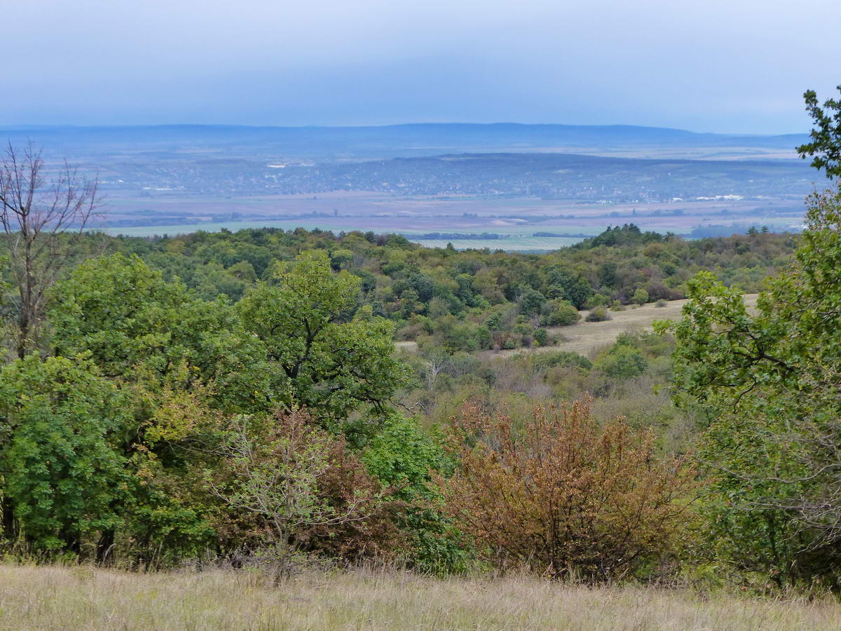 A Zsámbéki-medence túloldalán húzódó Nyakas-hegy alatt Perbál és Zsámbék házai állnak