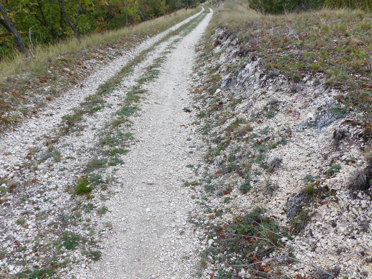 Murvás úton ballagtam sokáig, de a murvát nem úgy hozták ide, hanem szó szerint itt helyben keletkezett a jól málló dolomitból