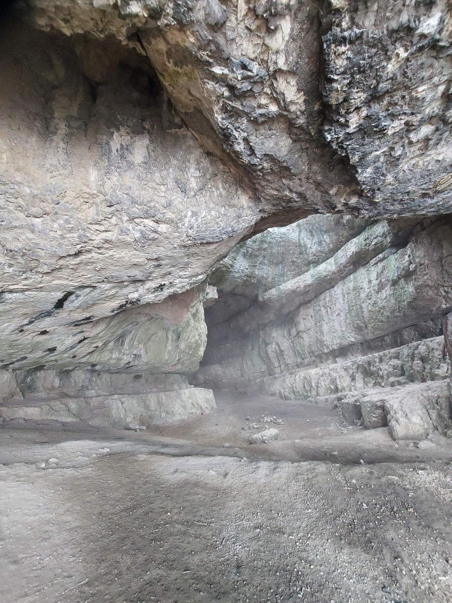 Hatalmas terek vannak a barlangban