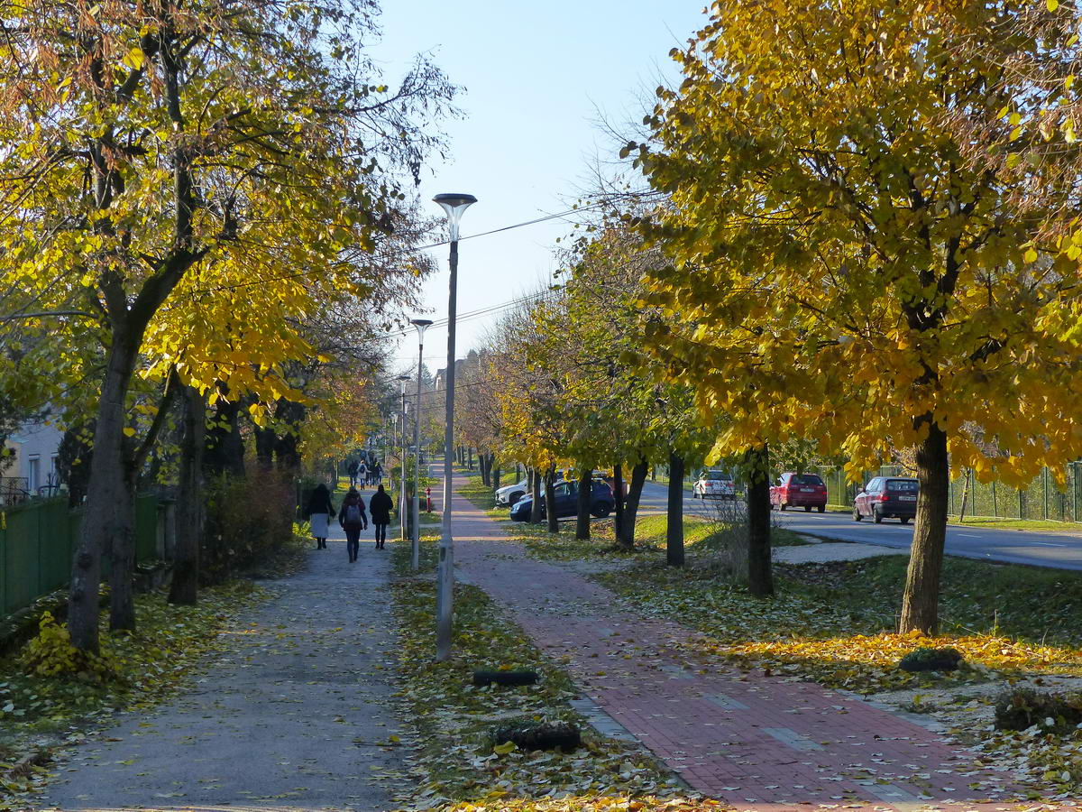 A Baji út sétányán ballagtam be Tatára