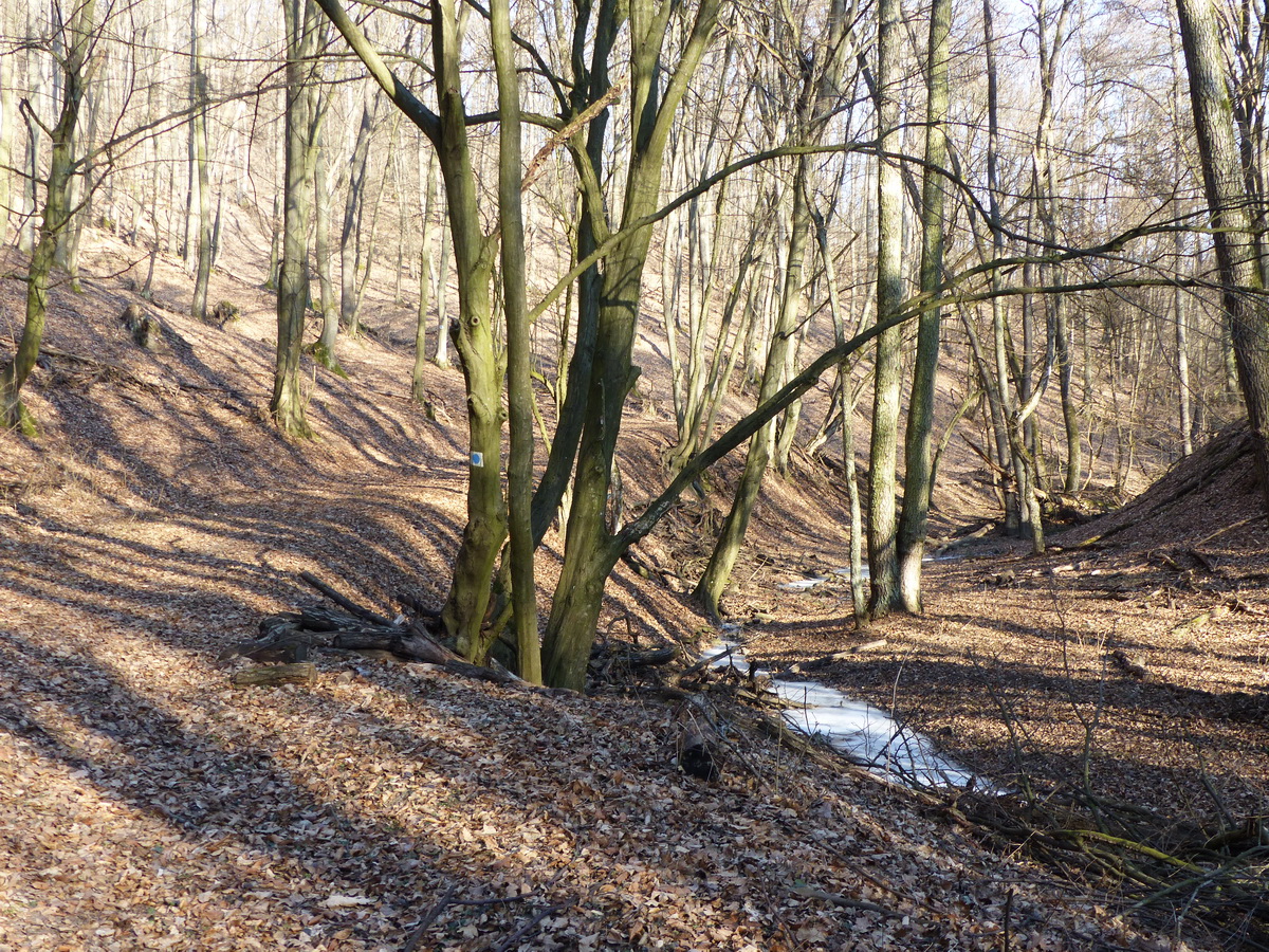 A Vasutas-forrás völgyében