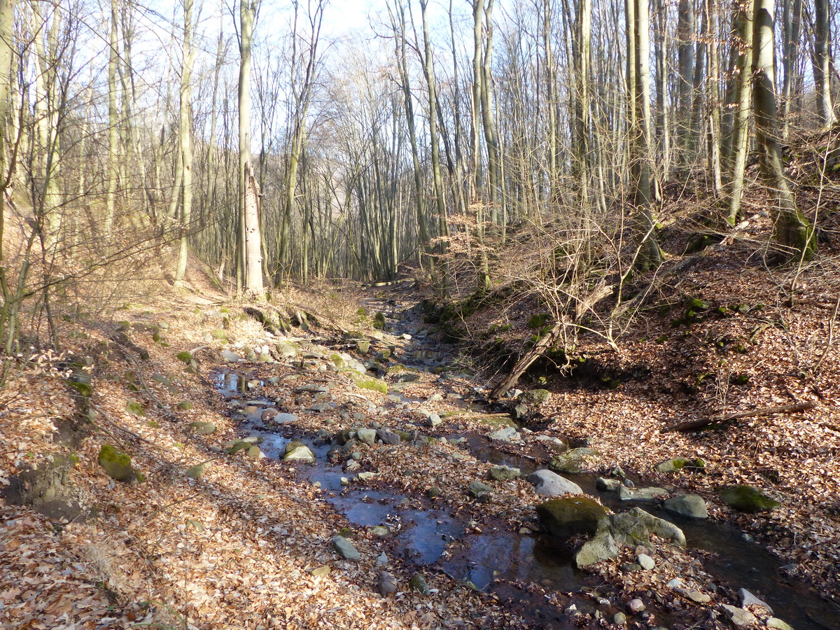 A Malom-patak mellett vezet sokáig a turistaút 3.