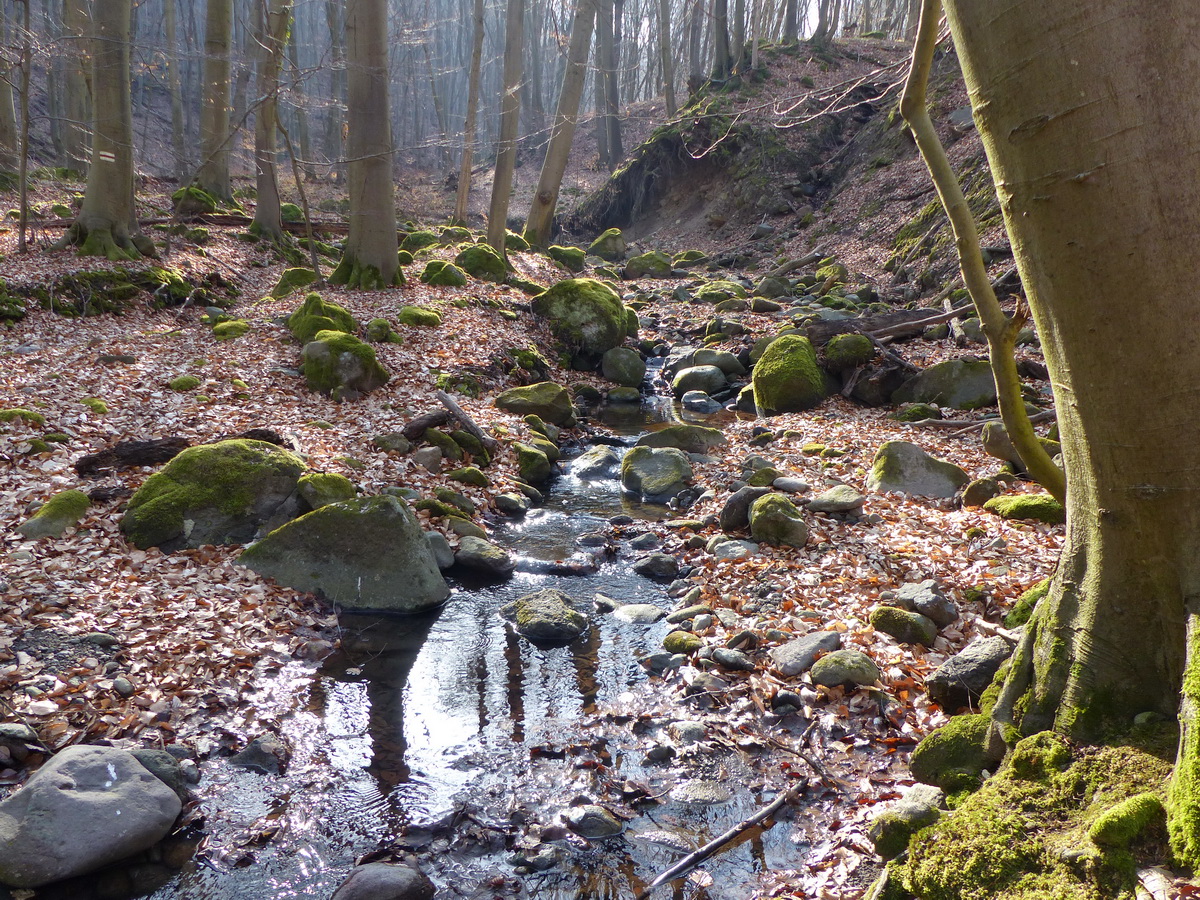 A Malom-patak mellett vezet sokáig a turistaút 5.