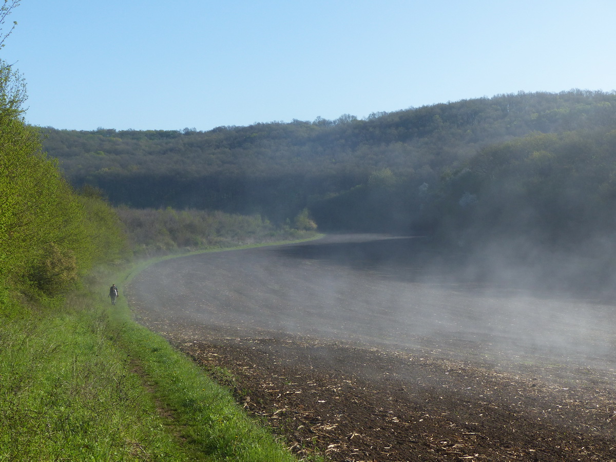 Ösvényen a Bodza-völgy szántójának peremén