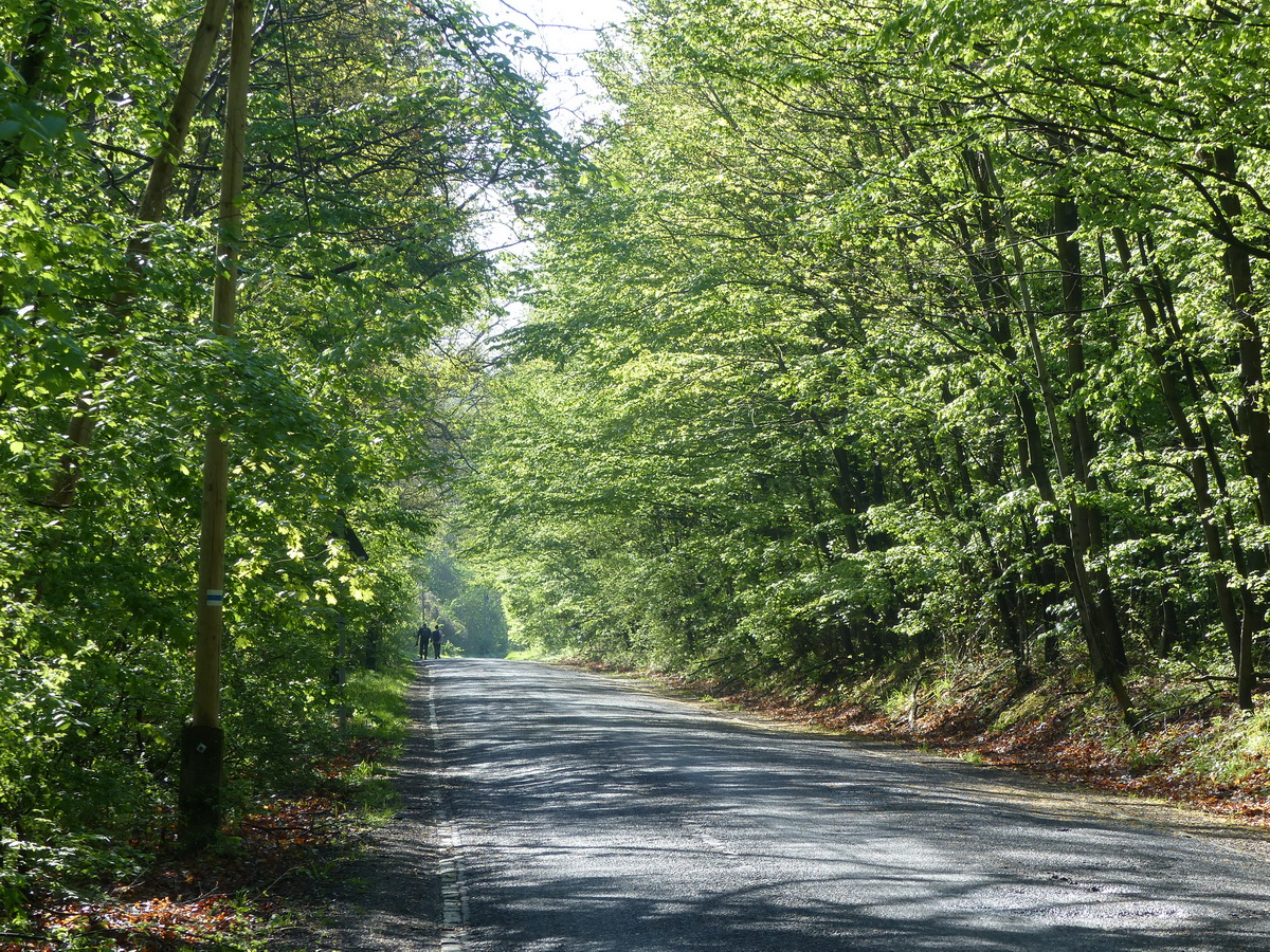 Tornyópuszta bekötőútján