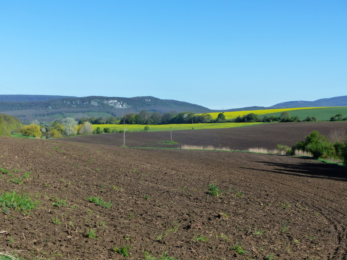 Kilátás a kopott aszfaltútról pár lépéssel letérve a Pes-kőre...