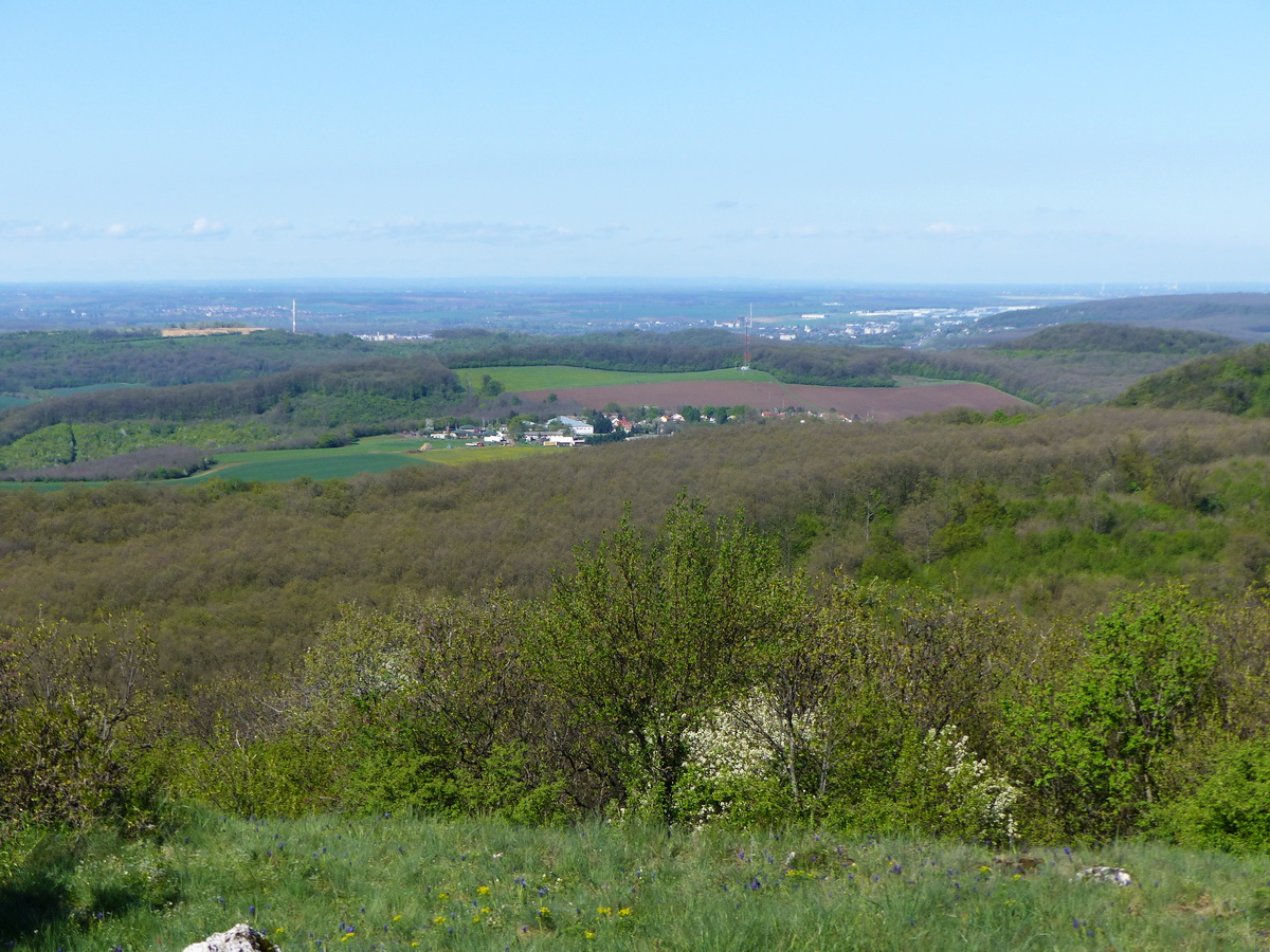 Kilátás a rét leszakadó pereméről Tornyópusztára